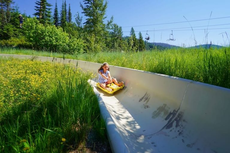 Alpine Slides - Whitefish Mountain Resort