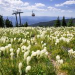 Summer vacation planning? Check out 10 things to do in Whitefish, Montana