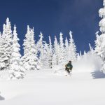 Fun facts about snowflakes and Whitefish's winter weather forecasts